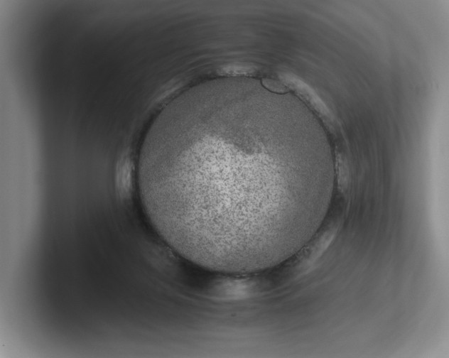 X0000102520071200808151542