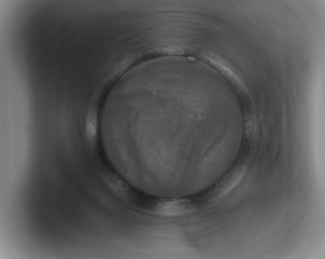 X0000102520072200808151542