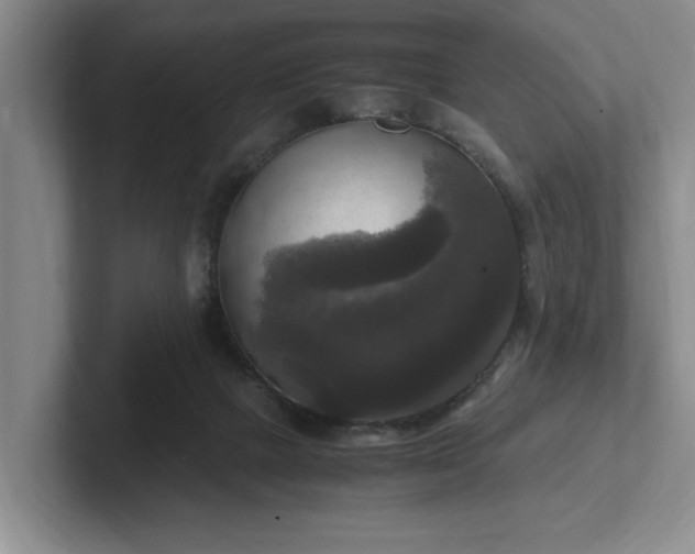 X0000102520073200808151542