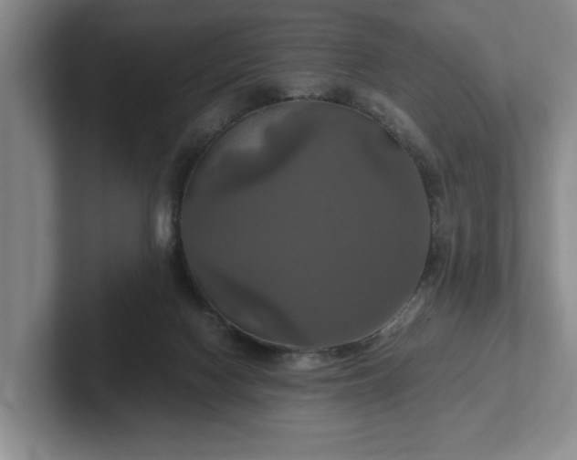 X0000102520074200808151542