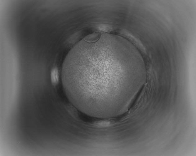 X0000102520075200808151542