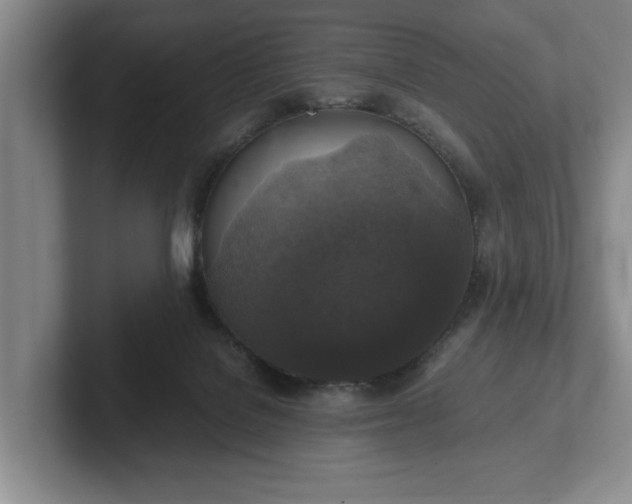 X0000102520076200808151542