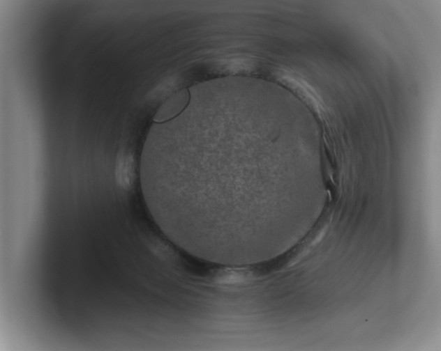 X0000102520077200808151542