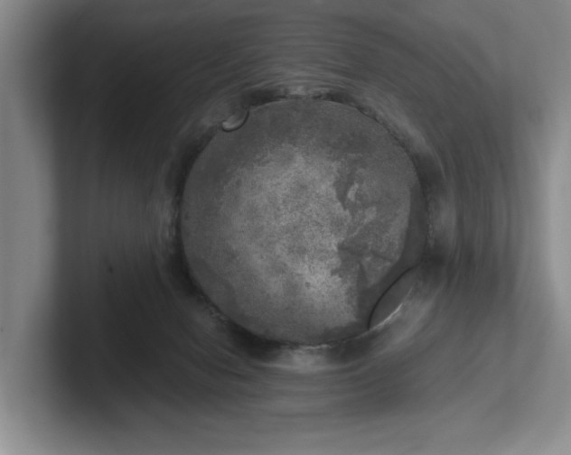 X0000102520078200808151542