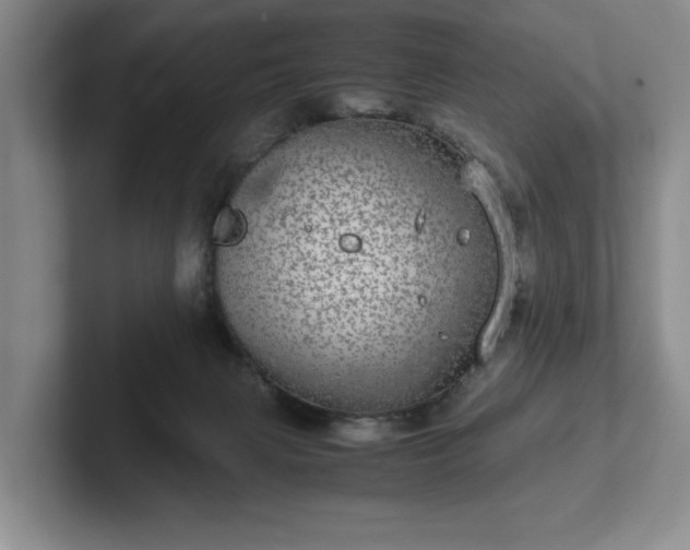 X0000102520079200808151542