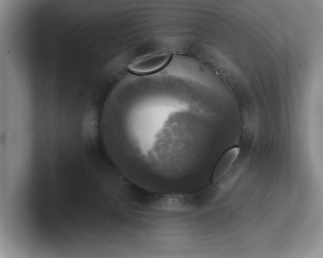 X0000102520080200808151542