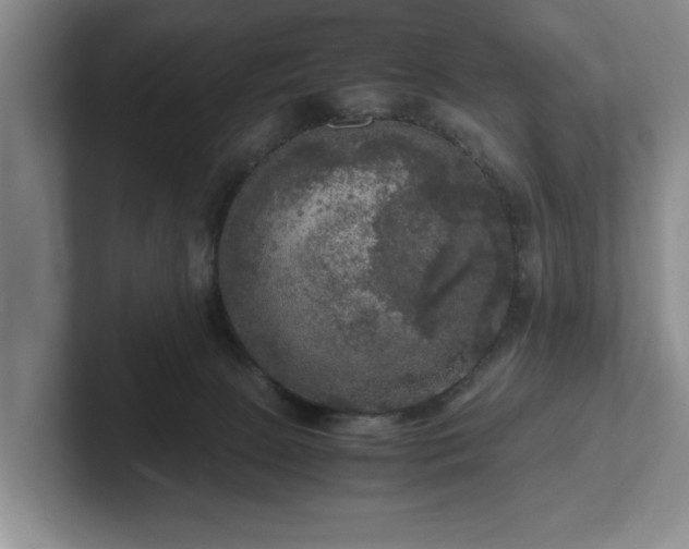 X0000102520081200808151542