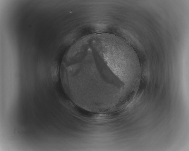 X0000102520082200808151542