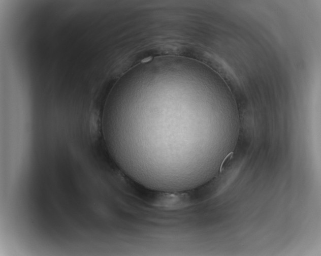 X0000102520083200808151542