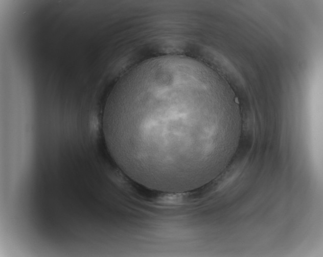 X0000102520084200808151542