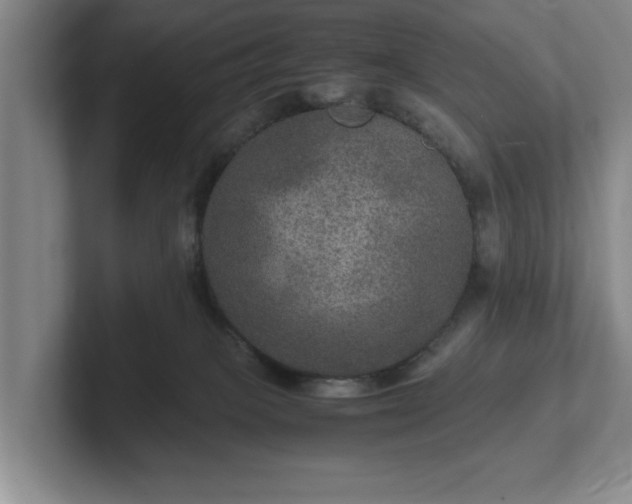 X0000102520085200808151542