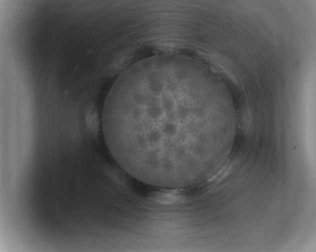 X0000102520086200808151542