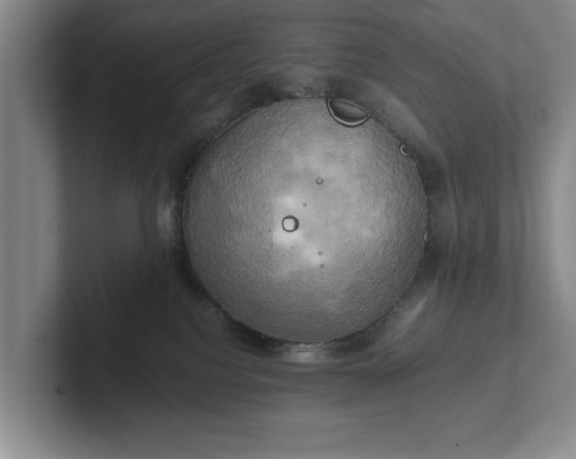 X0000102520088200808151542