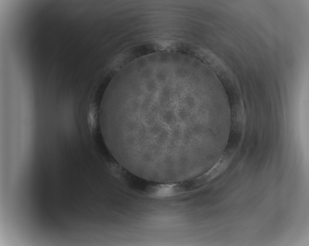 X0000102520090200808151542