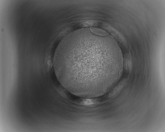 X0000102520091200808151542