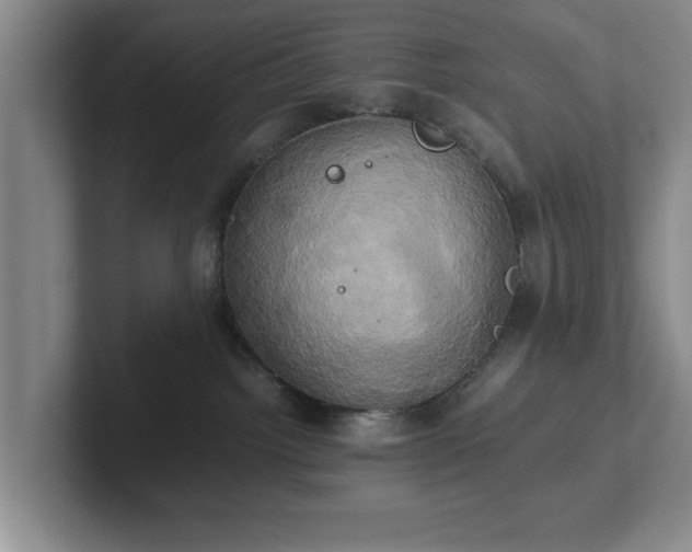 X0000102520092200808151542