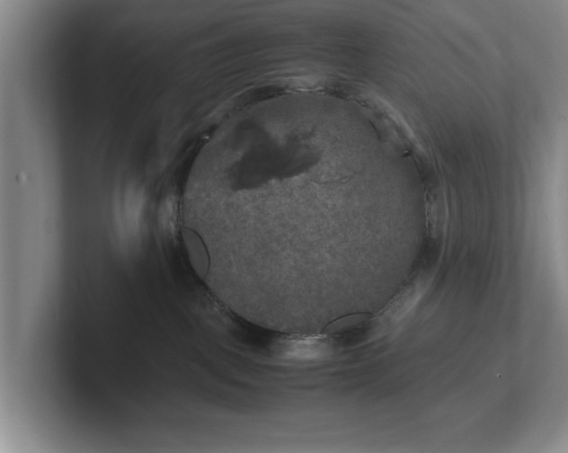 X0000102520093200808151542