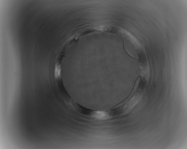 X0000102520095200808151542