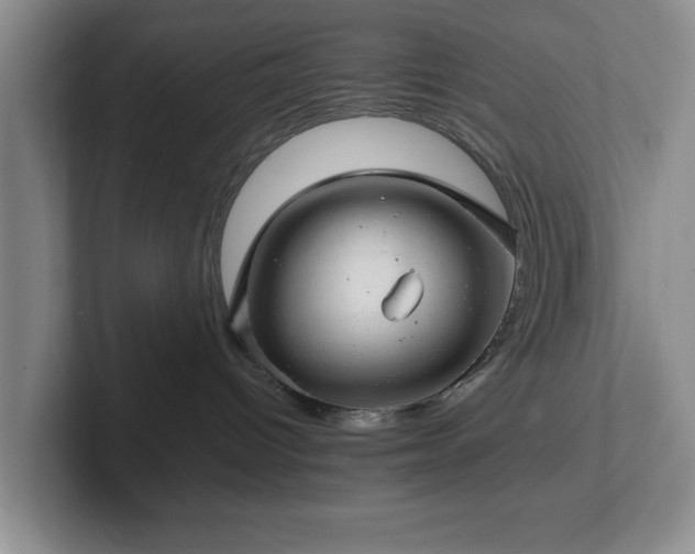 X0000102520096200808151542