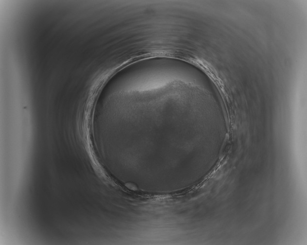 X0000102520097200808151542