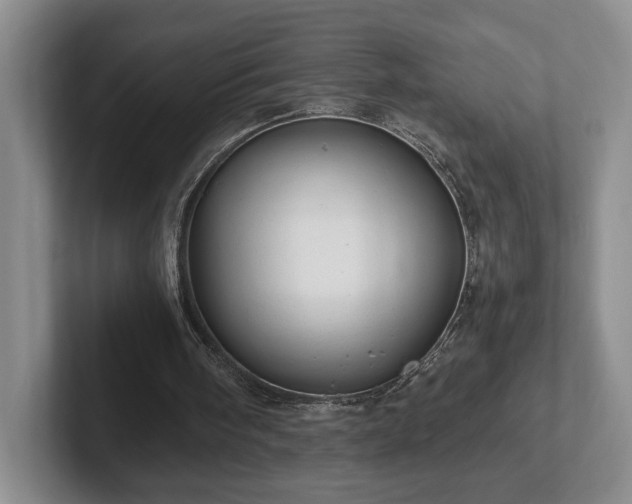 X0000102520098200808151542