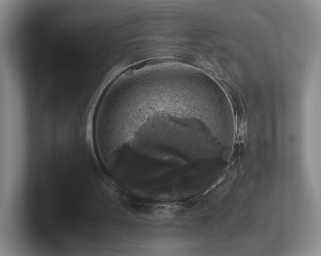 X0000102520099200808151542