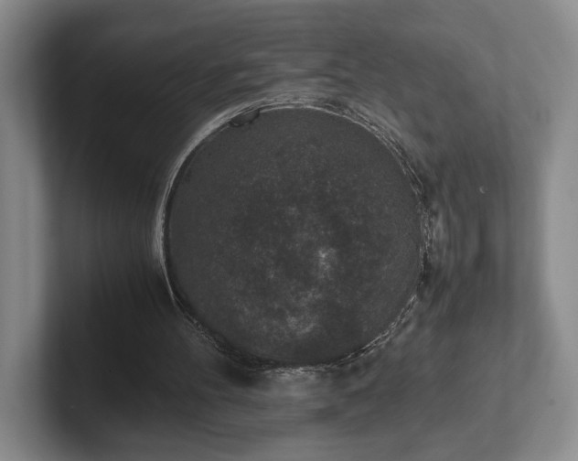 X0000102520100200808151542