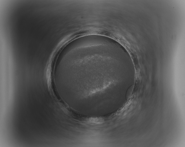 X0000102520101200808151542