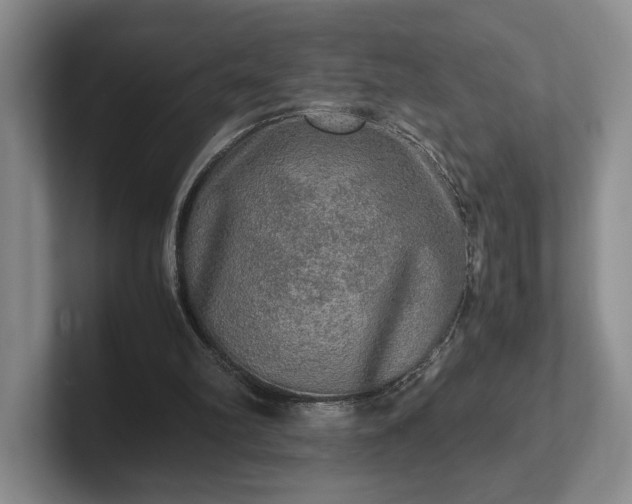 X0000102520102200808151542