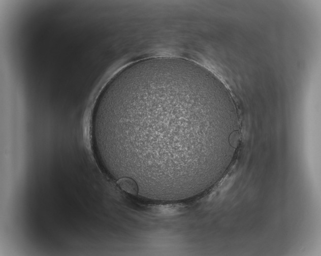 X0000102520103200808151542