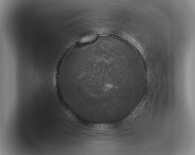 X0000102520105200808151542