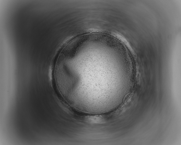 X0000102520106200808151542