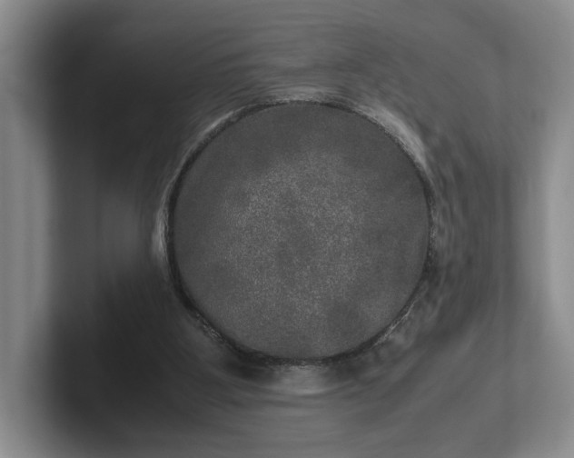 X0000102520107200808151542