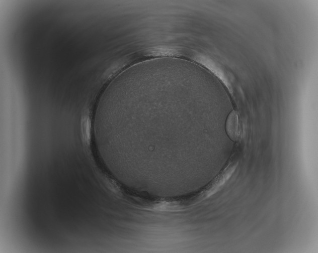 X0000102520109200808151541