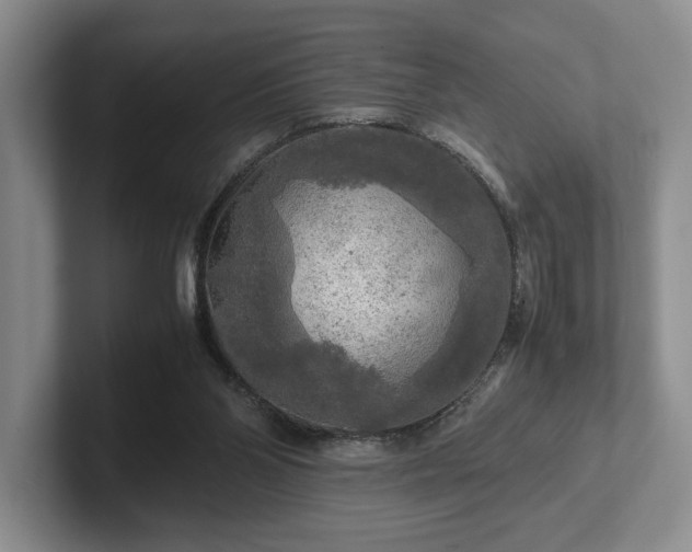 X0000102520110200808151541