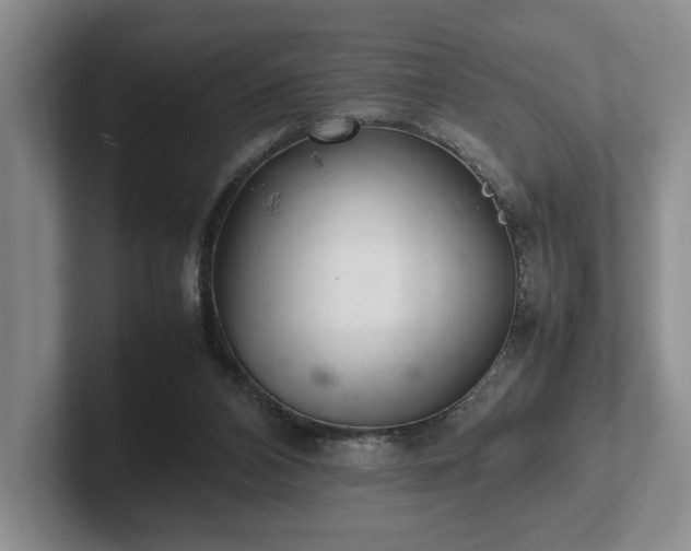 X0000102520112200808151541