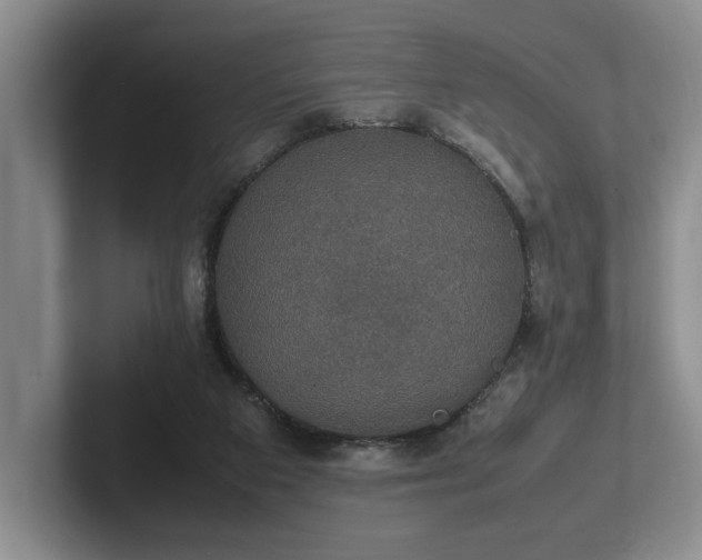 X0000102520113200808151541