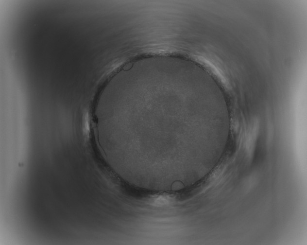 X0000102520115200808151541