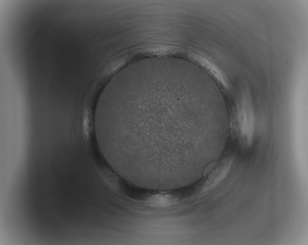 X0000102520119200808151541