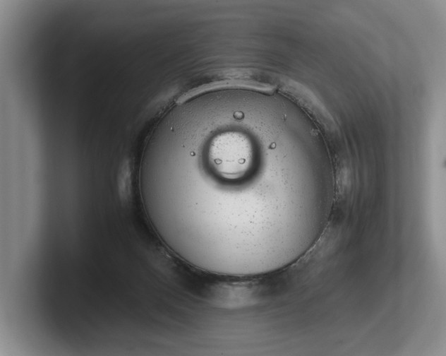 X0000102520120200808151541