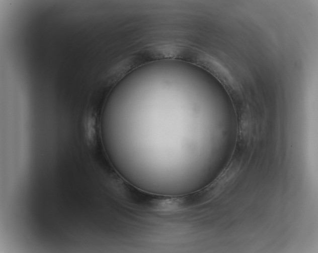 X0000102520122200808151541