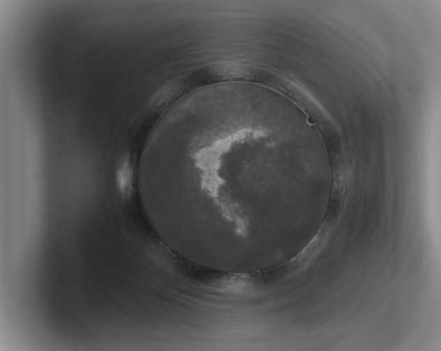 X0000102520124200808151541