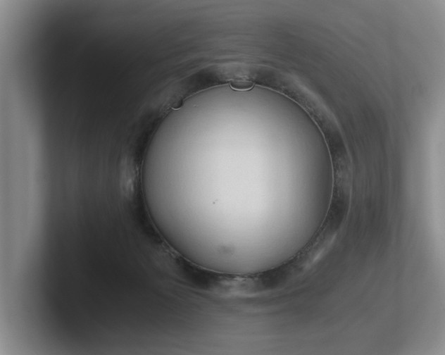 X0000102520125200808151541