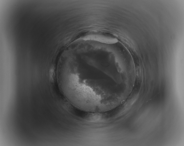 X0000102520127200808151541