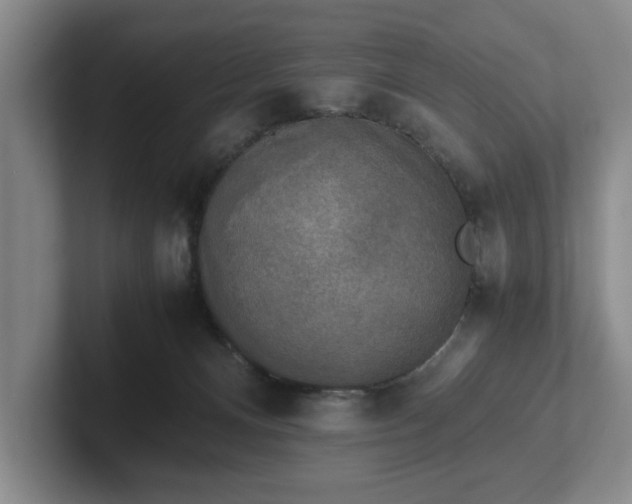 X0000102520128200808151541