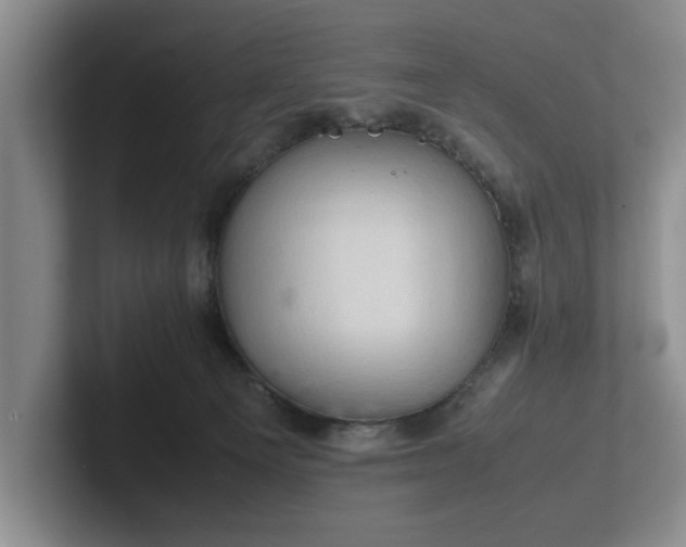 X0000102520129200808151541