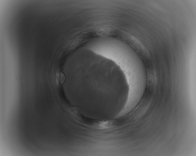 X0000102520130200808151541