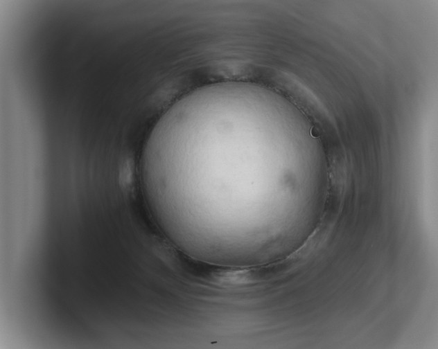 X0000102520132200808151541