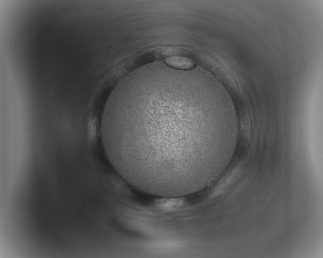 X0000102520135200808151541