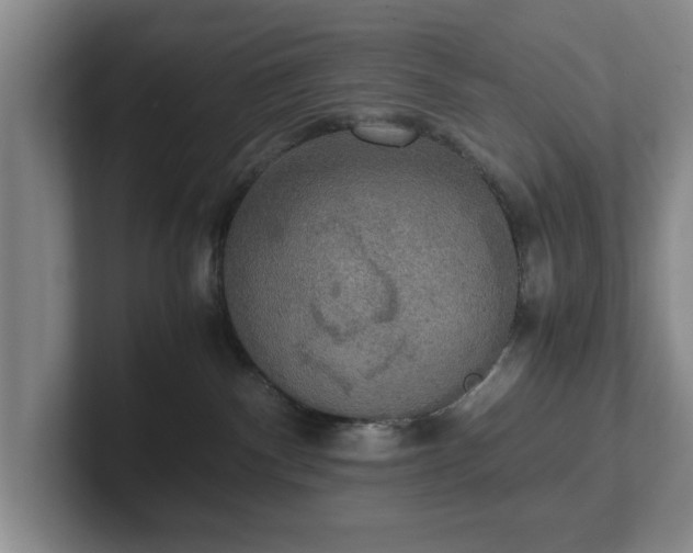 X0000102520140200808151541